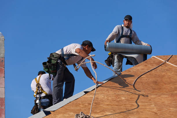 Best Roof Leak Repair  in Benton, IL